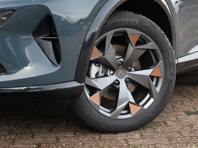 Cupra Formentor 1.5 eTSI DSG Kamera Voll LED