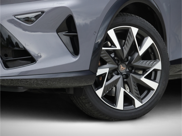 Cupra Formentor VZ 2.0 TSI 4Drive DSG Matrix Pano AHK 360grad Kamera
