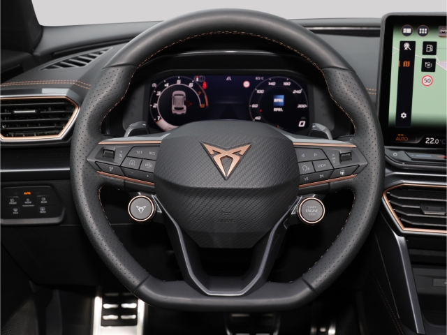 Cupra Formentor VZ 2.0 TSI 4Drive DSG Matrix Pano AHK 360grad Kamera