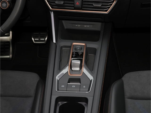 Cupra Formentor VZ 2.0 TSI 4Drive DSG Matrix Pano AHK 360grad Kamera