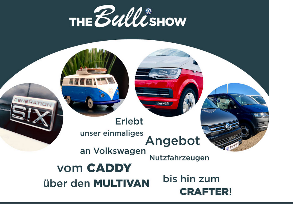 Bulli Show Fahrzeuge